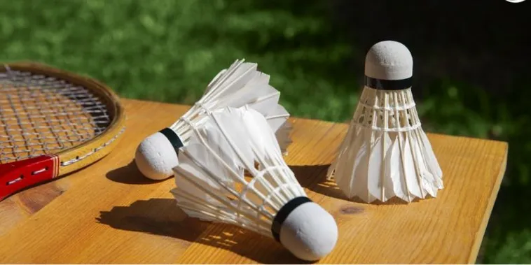 Bí Kíp Cá Cược Cầu Lông Tại 666VN Thắng Lớn Mỗi Ngày