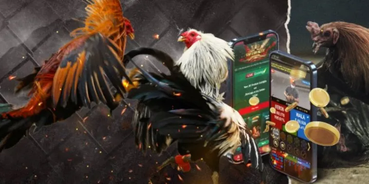 Hướng Dẫn Chơi Đá Gà GA28 Tại 666VN Cho Người Mới