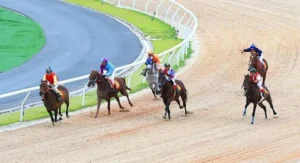 Giải Mã Cách Tìm Hiểu Cá Cược Đua Ngựa 666VN Thắng Lớn